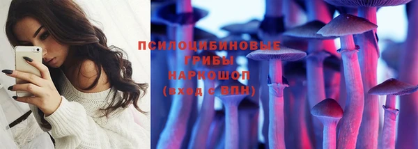 спайс Белокуриха