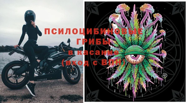 спайс Белокуриха