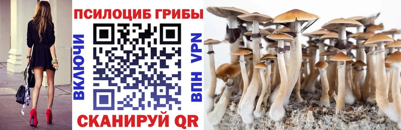 Галлюциногенные грибы ЛСД  blacksprut зеркало  Воркута  мориарти наркотические препараты  магазин продажи наркотиков 